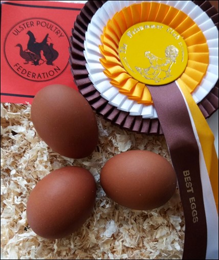 3 eggs